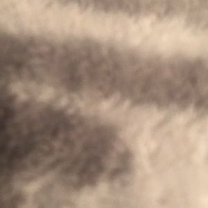 Meet your Posher, Jackeline